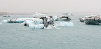 PICTURES/Jokulsarlon Lagoon/t_Berg6.jpg